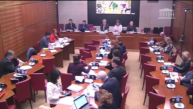 Commission d’enquête sur l'inclusion des élèves handicapés : Auditions diverses - Mardi 26 mars 2019