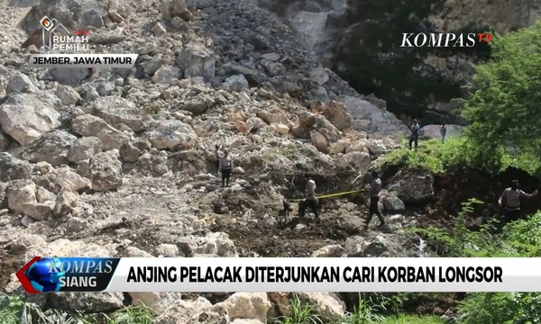 Turunkan Anjing Pelacak, Tim Sar Telah Temukan Titik Lokasi Korban Longsor Batu Kapur