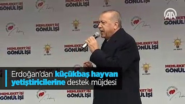 Erdoğan'dan küçükbaş hayvan yetiştiricilerine destek müjdesi