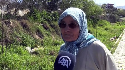 15 yıldır aynı direğe yuva yapıyorlar (2) - ANTALYA