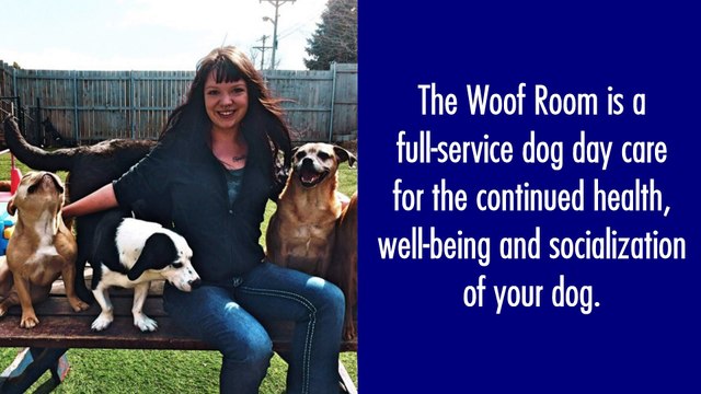 Rated #1 Dog Daycare In Brooklyn Park & Roseville