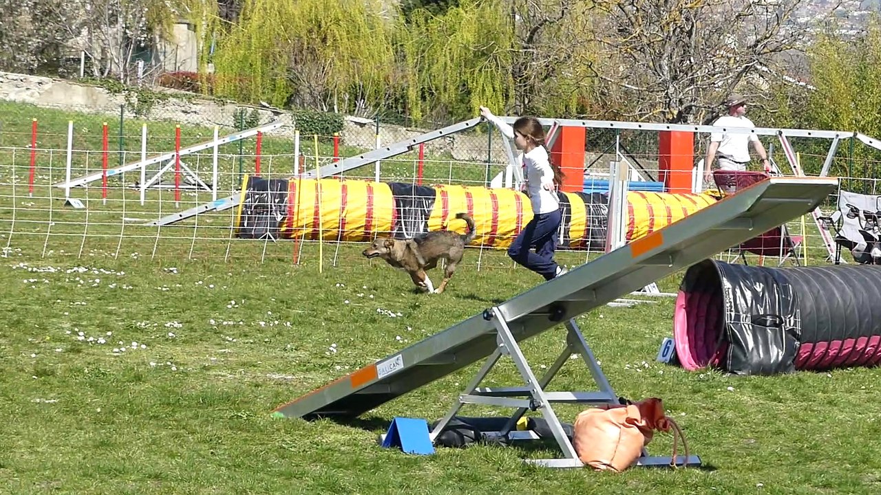 20190324P1090477_Lorette_Agility-Grade1-B-JC_Nawook_Eryne.