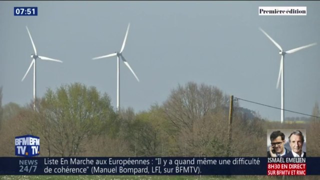 Les éoliennes ont-elles un effet néfaste sur les animaux ?