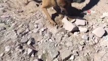 Narkotik Köpeği 'Kama' Toprak Altındaki Uyuşturucuyu Buldu