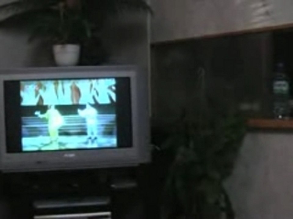 Sn theanh va tet2007 - 03