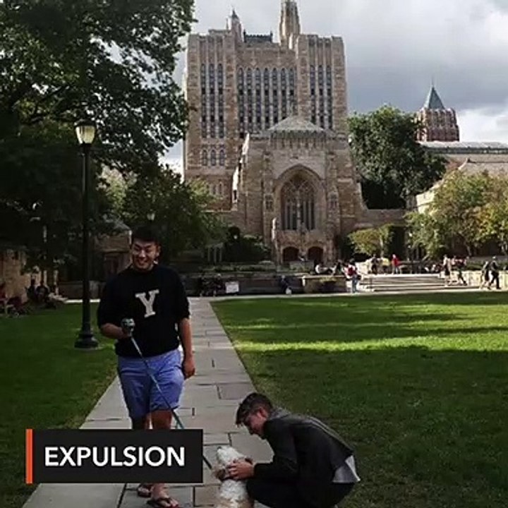 Yale expels student implicated in admissions scam