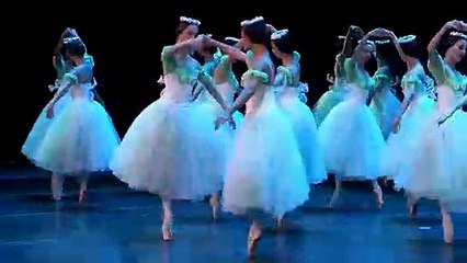 Prince Charles and Camilla's night at the Havana Ballet