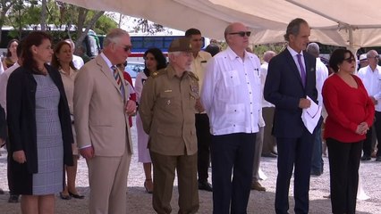 Prince Charles inaugurates solar energy project in Cuba