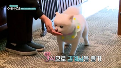 ★설이 남친 찾기 프로젝트★ 벼락치기 신부수업을 받다?!