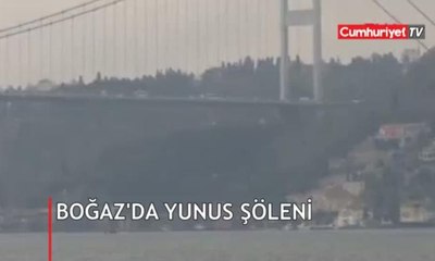 Bir anda ortaya çıktı!