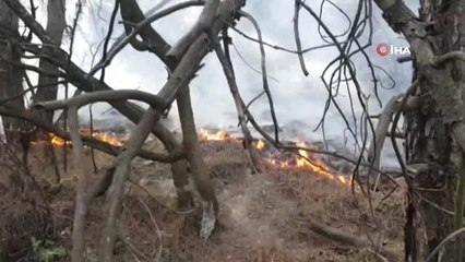 Karabük'te Orman Yangını