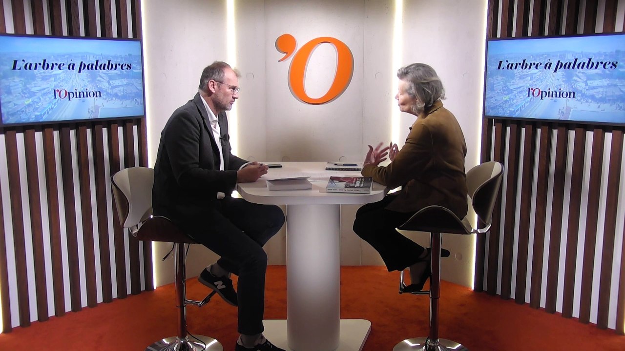 «Erdogan est populaire auprès des jeunes franco-maghrébins», explique Ariane Bonzon (spécialiste de la Turquie)