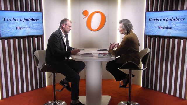 «Erdogan est populaire auprès des jeunes franco-maghrébins», explique Ariane Bonzon (spécialiste de la Turquie)