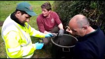 Les jardiniers de la ville de Besançon donnent des conseils aux particuliers sur la plantation des vivaces