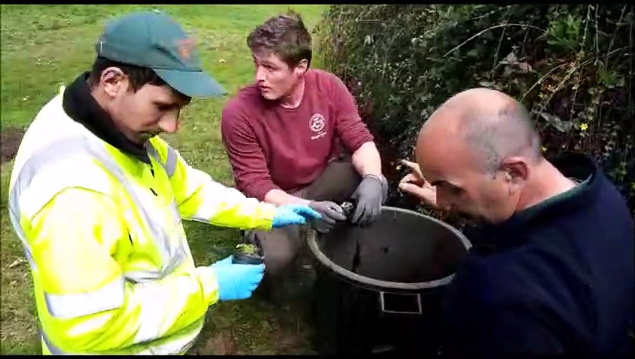 Les jardiniers de la ville de Besançon donnent des conseils aux particuliers sur la plantation des vivaces