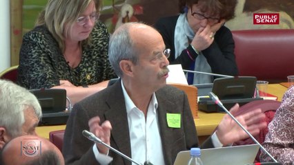 Le Sénat se penche sur la maladie de Lyme à l’occasion de quatre tables rondes