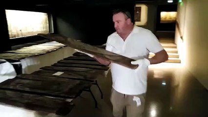 Metz : le musée de la Cour d'Or prête deux panneaux du plafond au bestiaire à un musée de Los Angeles