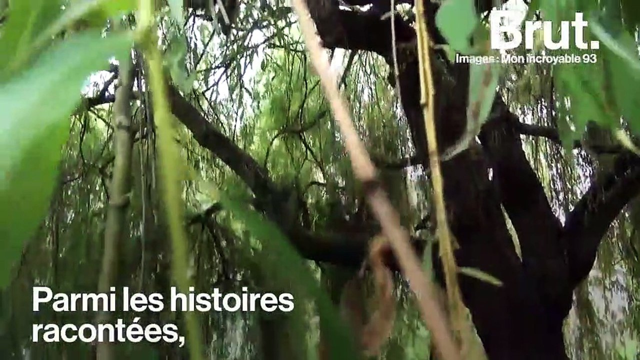 " Le 93, (…) c'est des gens qui s'en sortent " : Rencontres en Seine-Saint-Denis