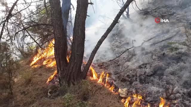 Orman Yangınında Soğutma Çalışmaları Sürüyor