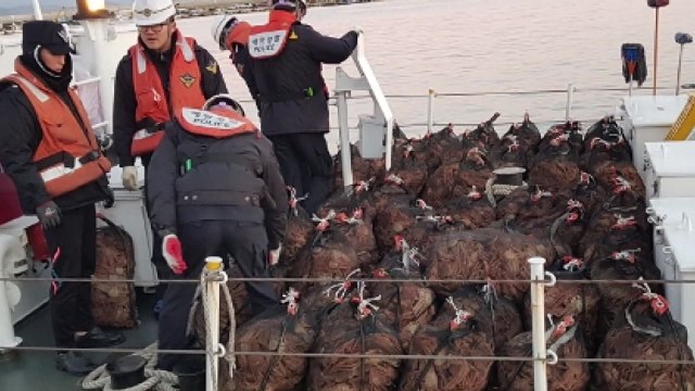 5천만 원어치 암컷 대게 유통한 일당 구속 / YTN