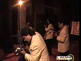 Savia Andina - Leño verde