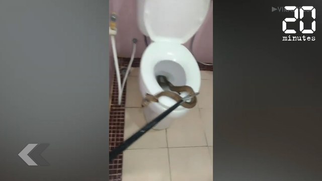 Vous ne voudrez plus jamais aller aux toilettes - Le Rewind du Mercredi 27 Mars 2019