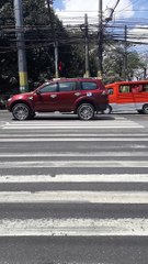 Dog Has Some Serious Street Smarts