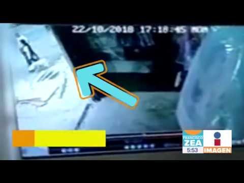 Patrulla a exceso de velocidad atropella a dos personas y su perro | Noticias con Zea