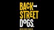 BackStreet Dogs, fundación para salvar perros de la calle | Noticias con Francisco Zea