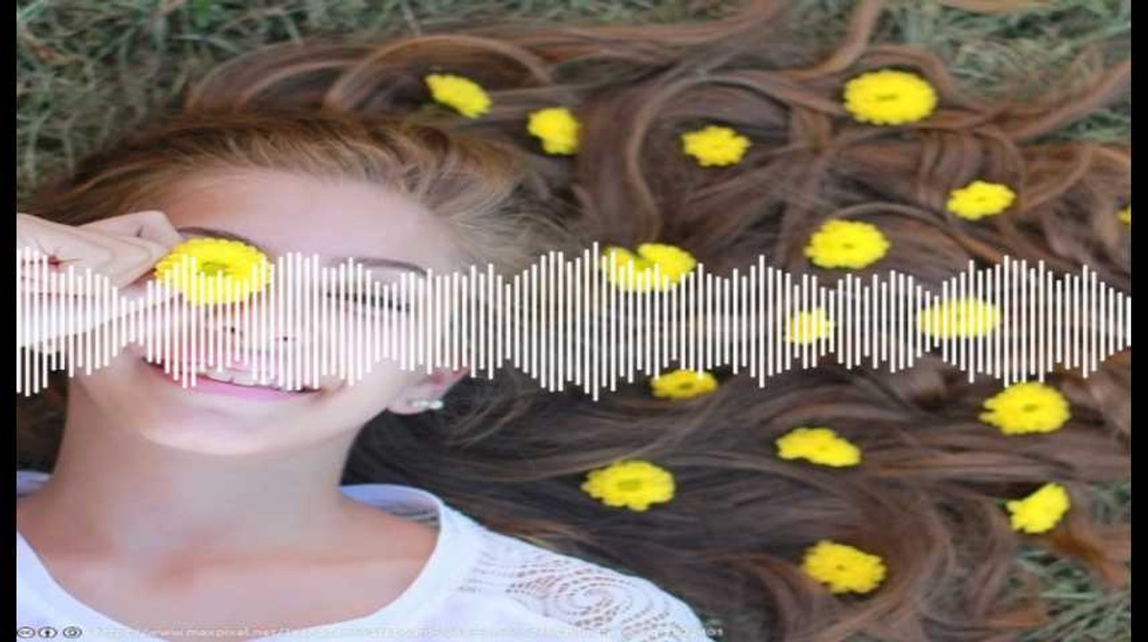 Minute Papillon! Flash info soir- 11 mars 2019