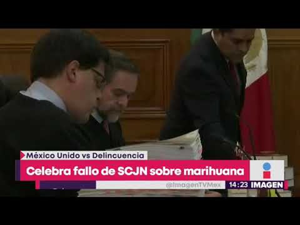 Estarían a punto de legalizar la mariguana en México | Noticias con Yuriria