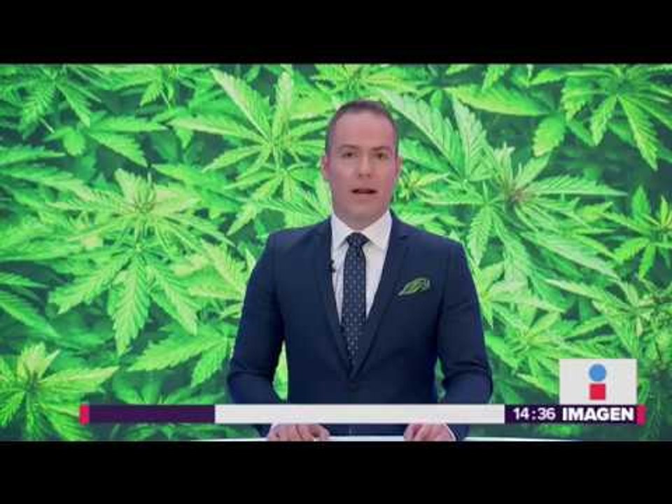 Están a punto de legalizar la mariguana recreativa en México | Noticias con Yuriria