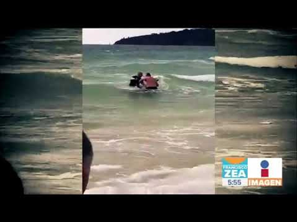 Rescatan a canguro que se estaba ahogando en el mar | Noticias con Zea