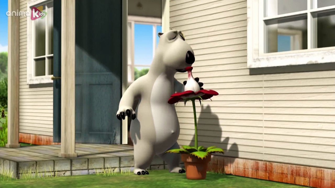 Bernard Bear | La plante carnivore | Bernard l'Ours | Dessin animé pour les enfants |