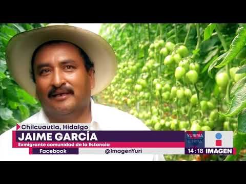 Migrantes regresan a México para emprender en su tierra natal | Noticias con Yuriria Sierra