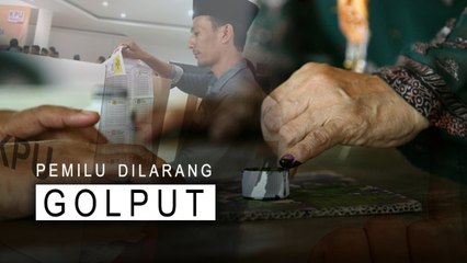 Highlight Primetime News: Pemilu Dilarang Golput