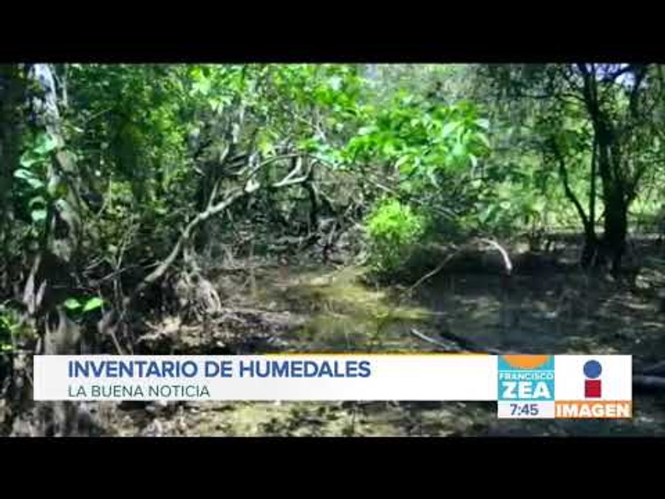 Cuántos humedales tiene México, por fin tenemos la respuesta | En buenas noticias