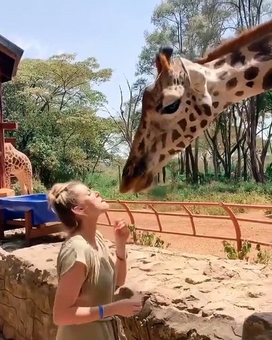 Ce qu'elle fait avec la girafe va vous choquer !