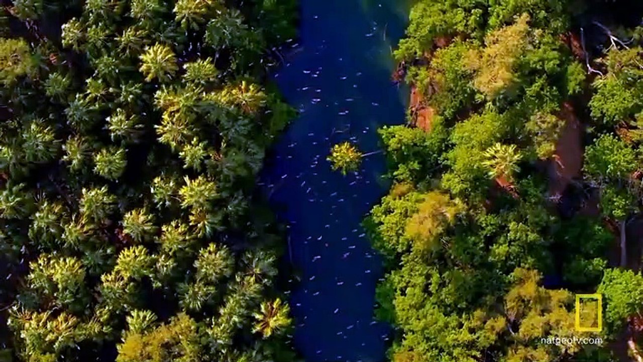 Hostile Planet: Trailer