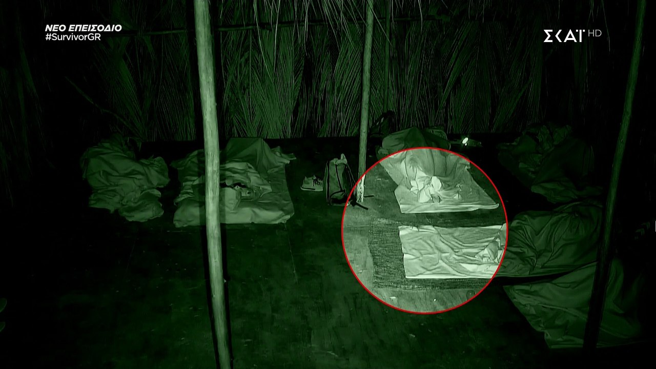 Survivor: Μια τεράστια αράχνη  του χάλασε τον ύπνο