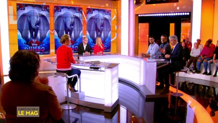 20H le mag - L'Info du Vrai du  - L'info du vrai, le mag - CANAL+