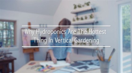 Why Hydroponics Are The Hottest Thing In Vertical Gardening