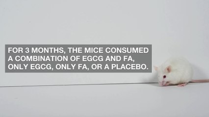 Alzheimer's Symptoms Reversed by Compounds Found in Green Tea and Carrots