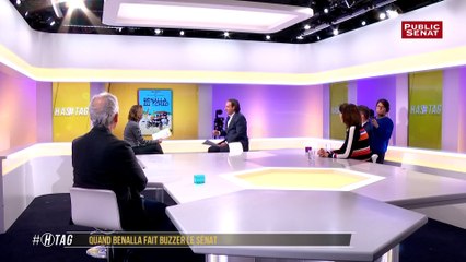 Quand Benalla fait buzzer le Sénat - Hashtag l'émission (24/01/2019)