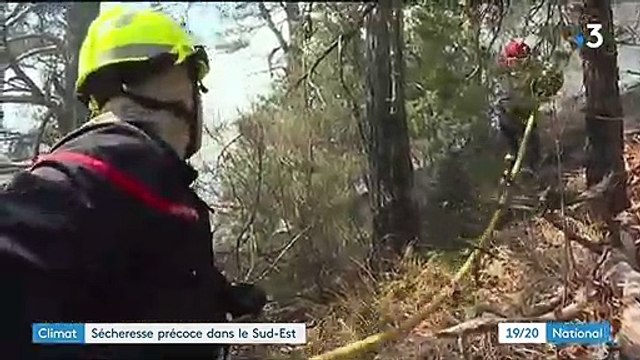 Climat : sécheresse précoce dans le Sud-Est