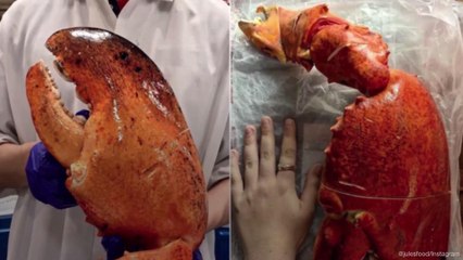 Costco Is Selling Gigantic 3-Pound Lobster Claws