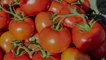 Grow Your Best Tomatoes Ever With This Bizarre Gardening Trick