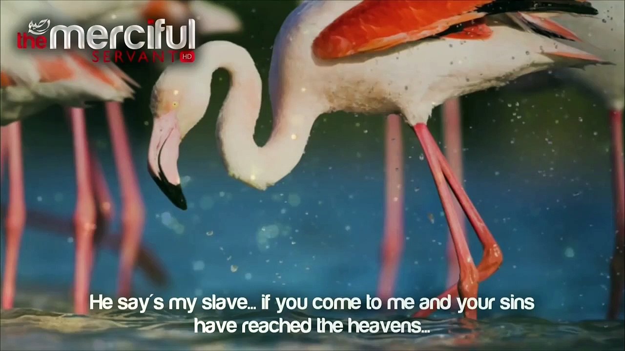 God (Allah) is Calling Out to You