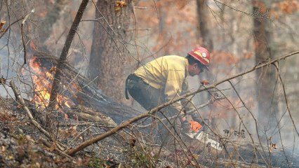 Dolly Parton Donates $200,000 to Volunteer Fire Departments Who Fought the 2016 Great Smoky Mountains Wildfires