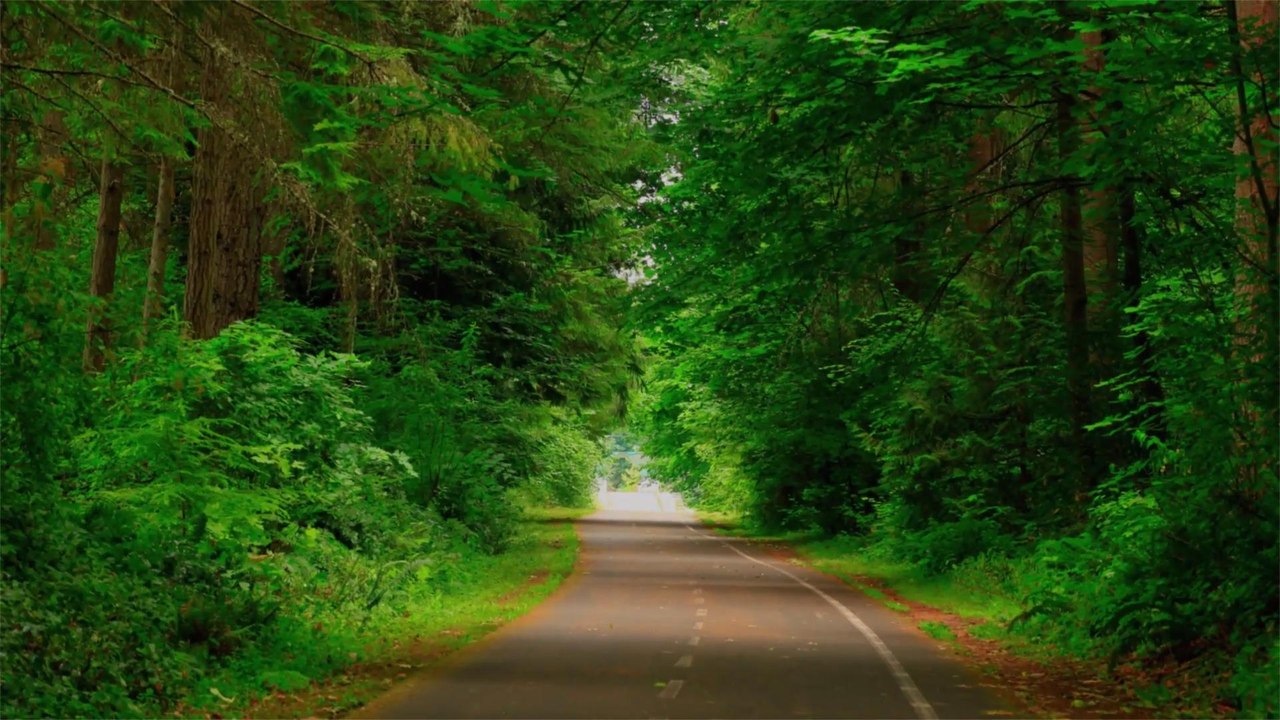 This New 4,000 Mile Trail Will Let People Bike From Coast to Coast on One Seamless Path